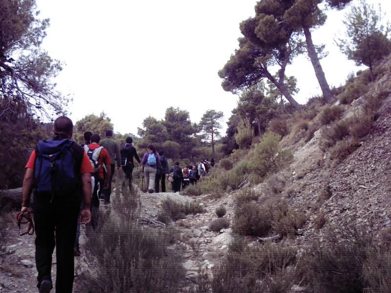 PURGATORIO-PEDROLOPEZ (1).jpg