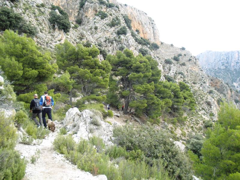 PURGATORIO-PEDROLOPEZ (11).jpg