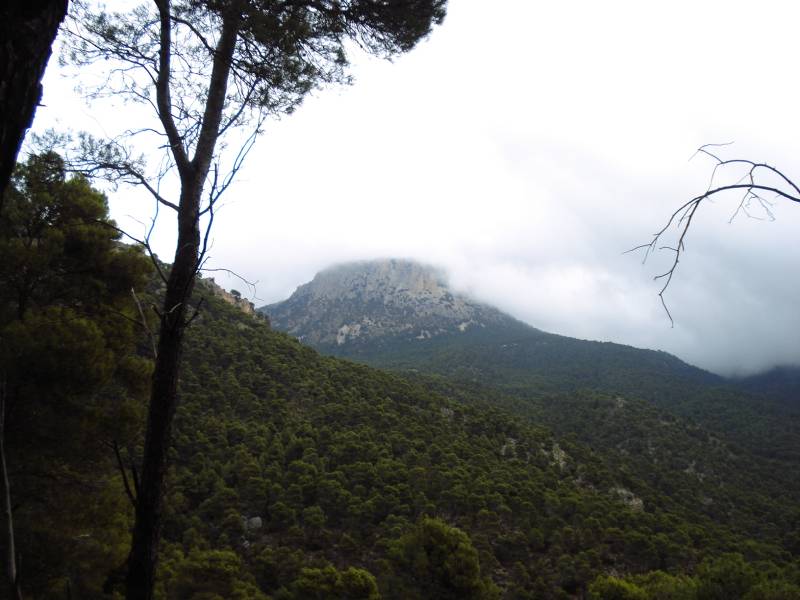 PURGATORIO-PEDROLOPEZ (2).jpg