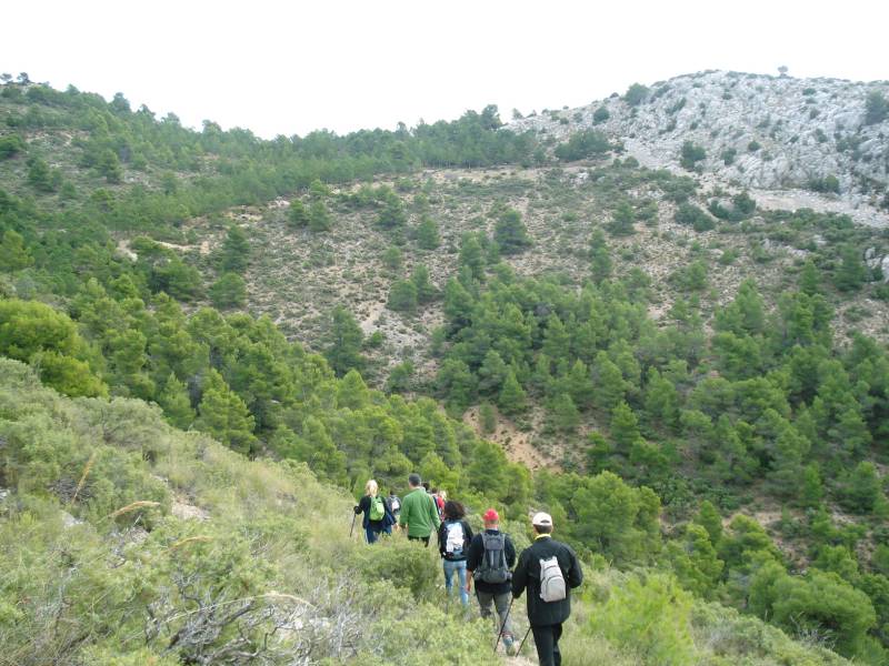 PURGATORIO-PEDROLOPEZ (24).jpg