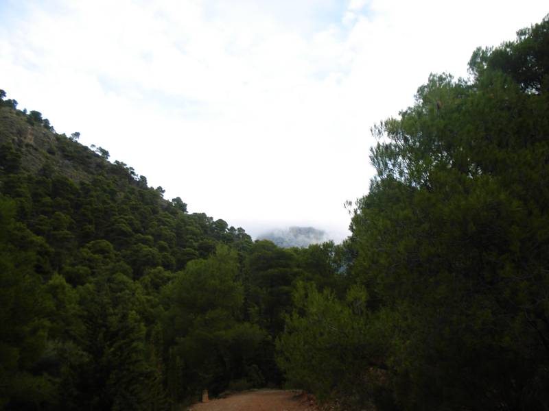 PURGATORIO-PEDROLOPEZ (3).jpg