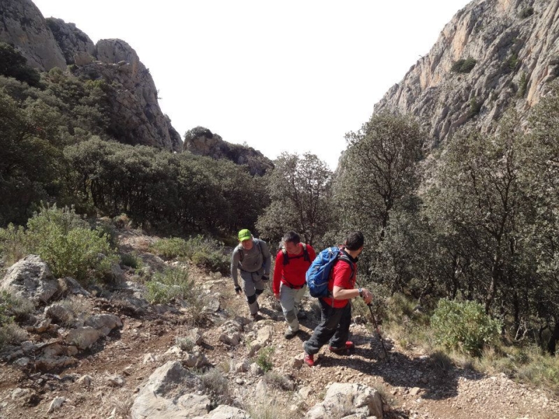puig campana (10).jpg