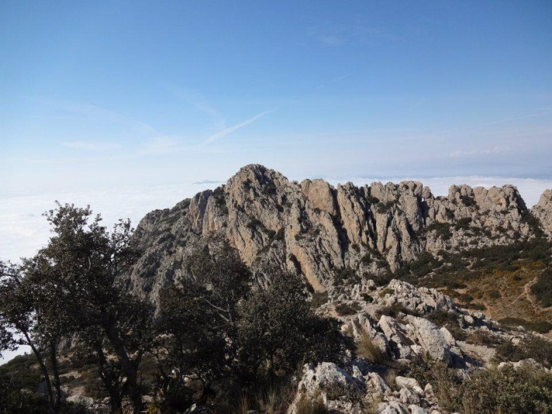 puig campana (12).jpg