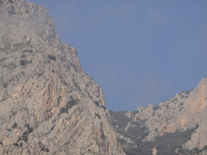 puig campana (14).jpg