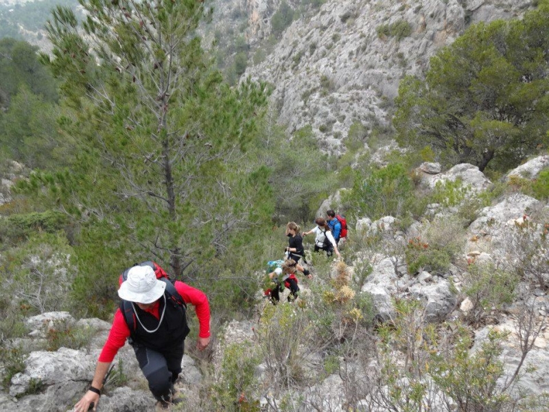 puig campana (18).jpg