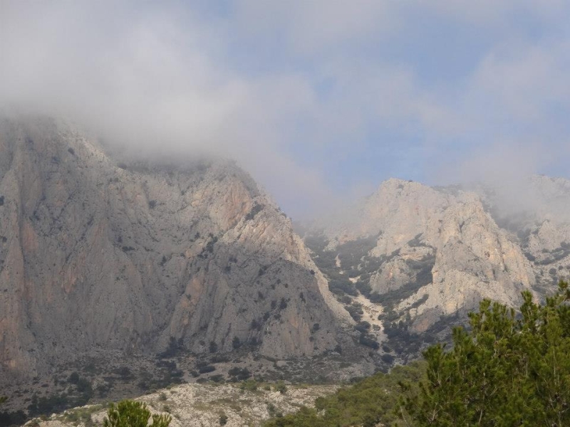 puig campana (19).jpg