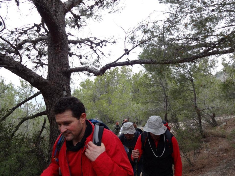 puig campana (20).jpg