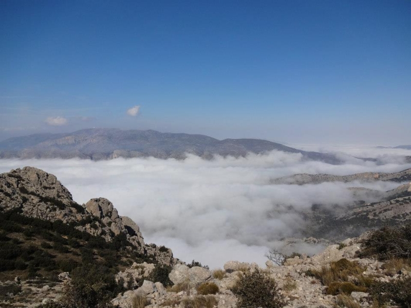 puig campana (22).jpg