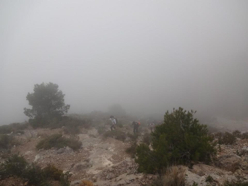 puig campana (23).jpg