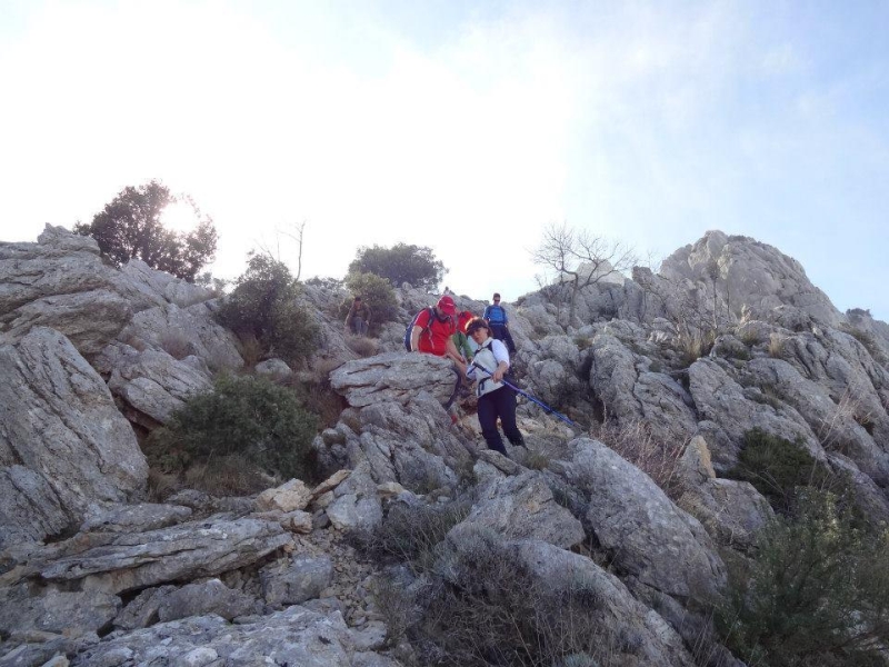 puig campana (24).jpg
