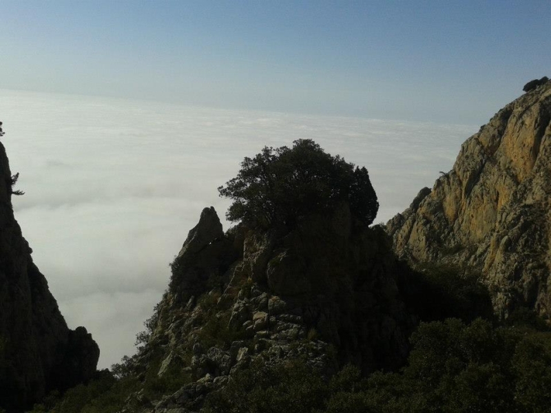 puig campana (26).jpg