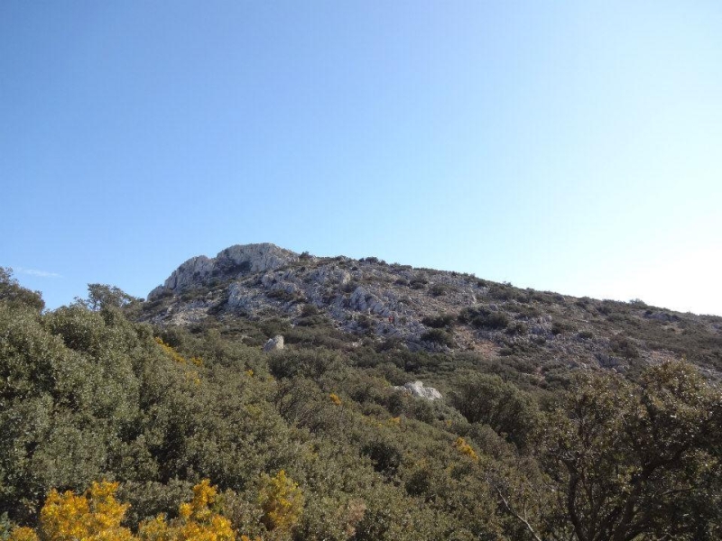 puig campana (3).jpg