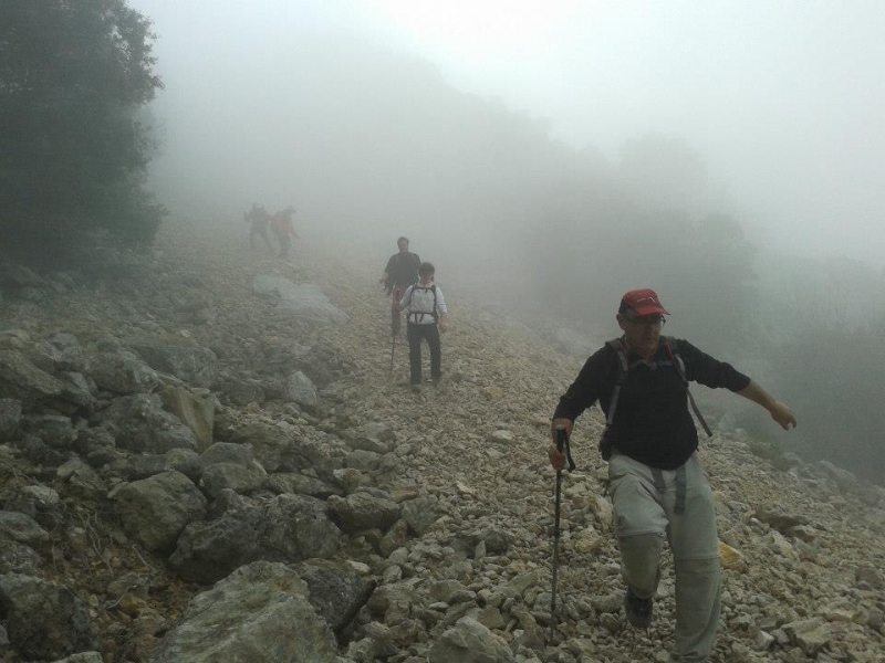 puig campana (30).jpg