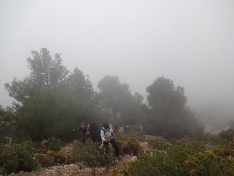 puig campana (31).jpg