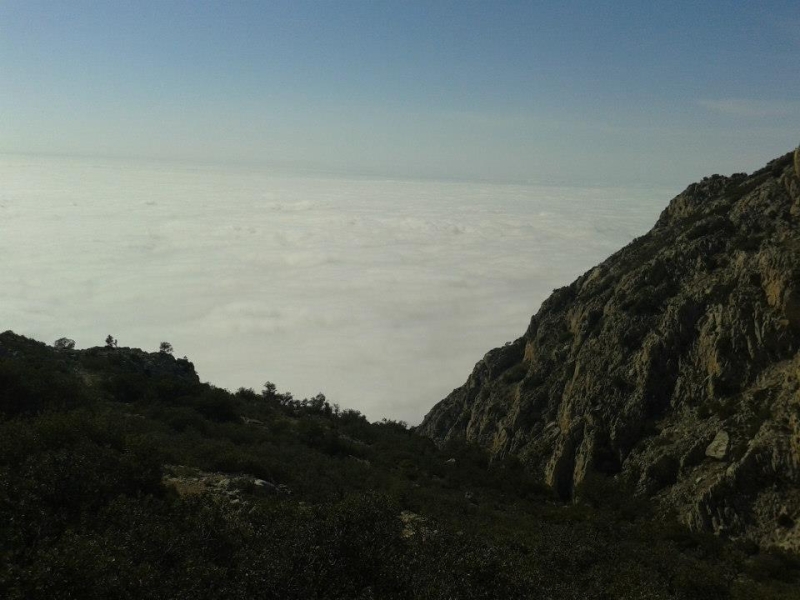 puig campana (32).jpg