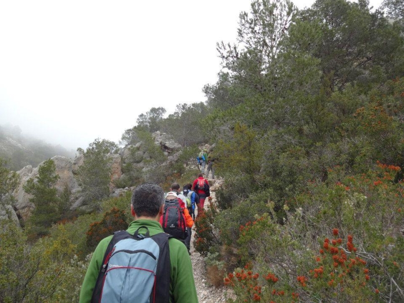 puig campana (33).jpg