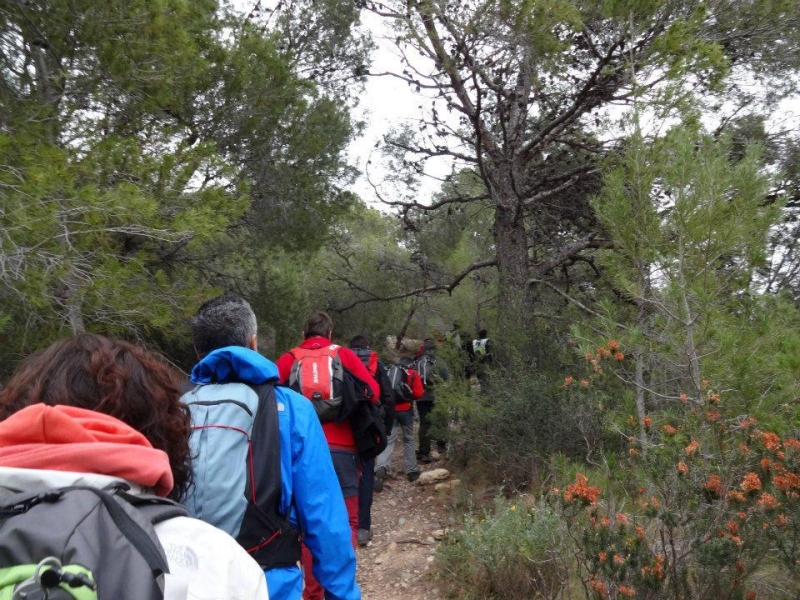 puig campana (35).jpg
