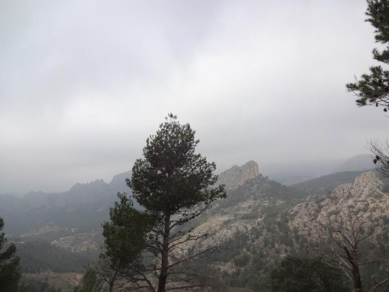 puig campana (36).jpg
