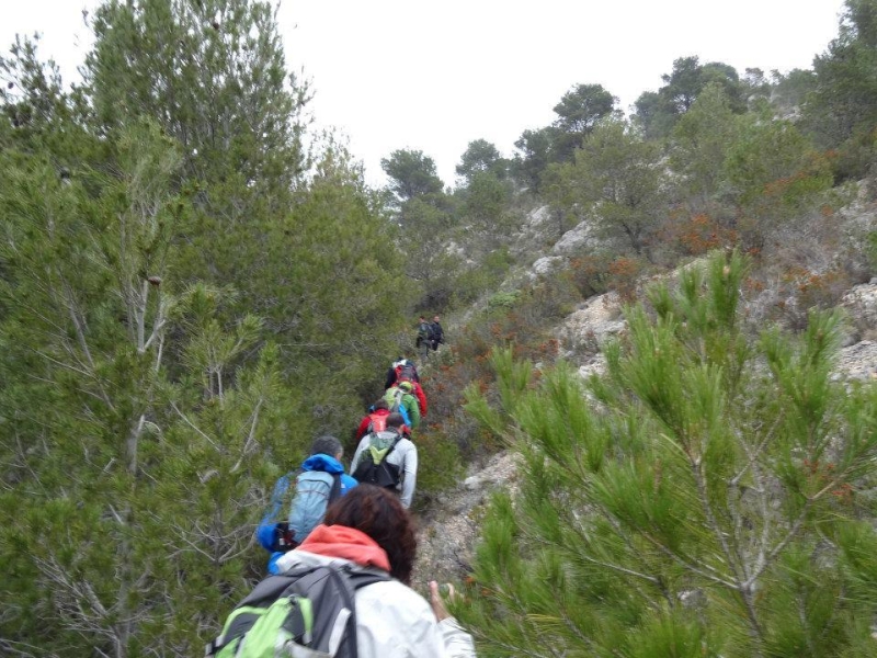 puig campana (37).jpg