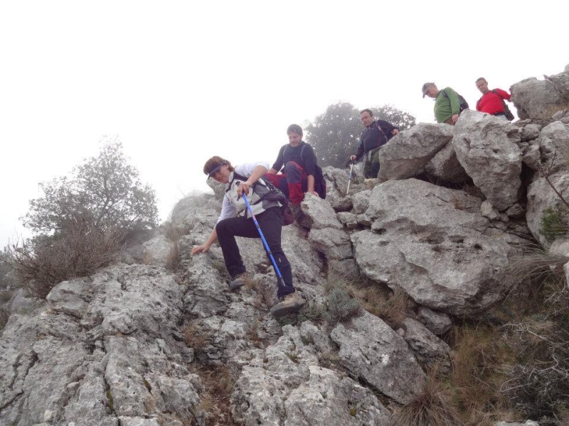 puig campana (38).jpg