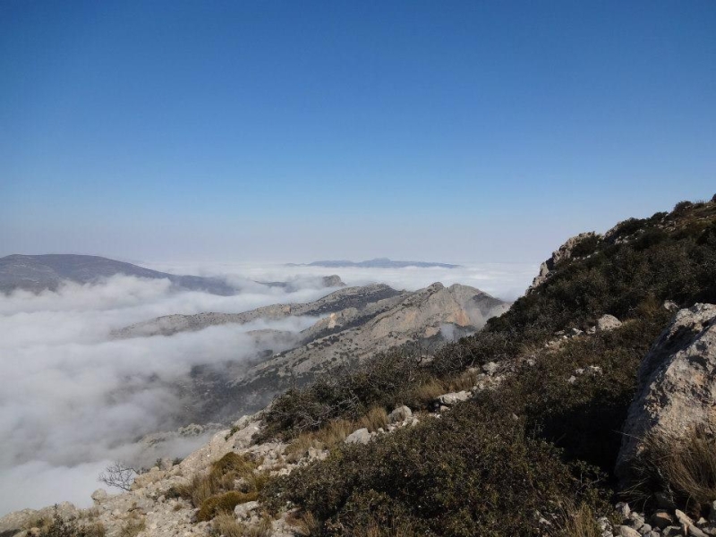 puig campana (42).jpg