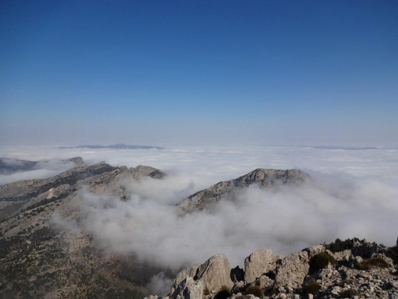 puig campana (44).jpg