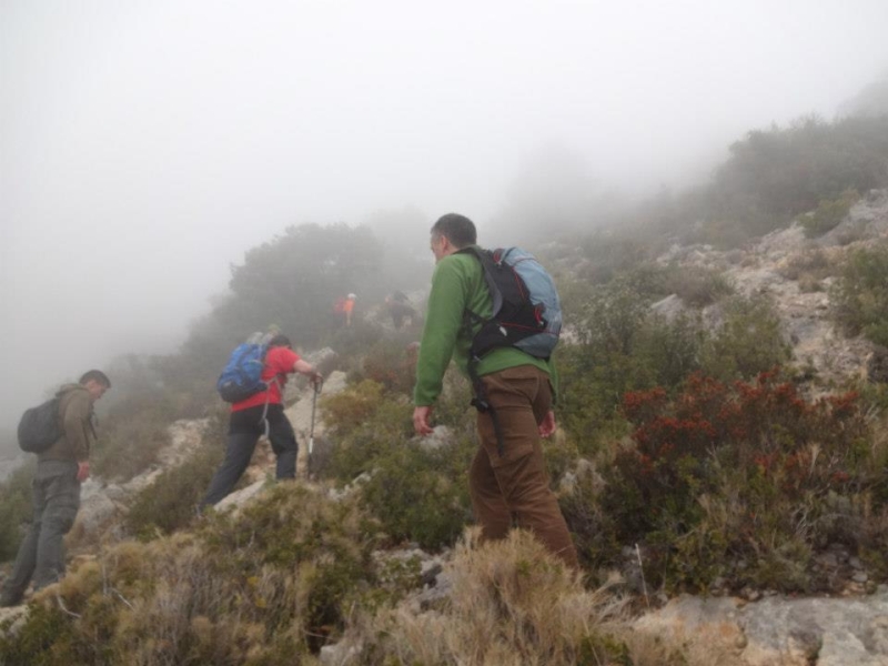 puig campana (45).jpg