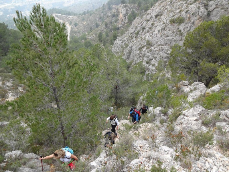 puig campana (46).jpg