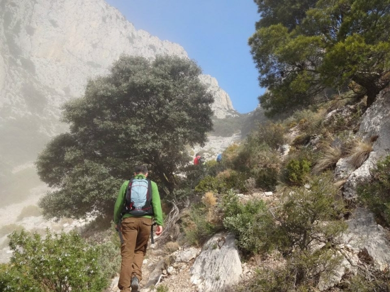 puig campana (47).jpg