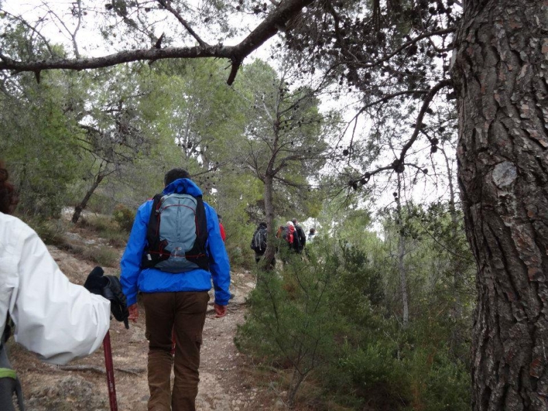 puig campana (5).jpg