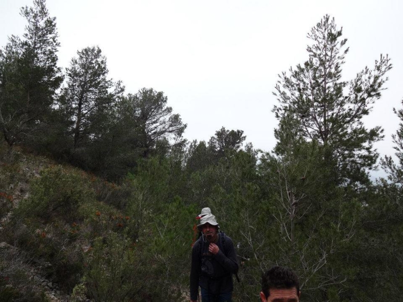 puig campana (51).jpg