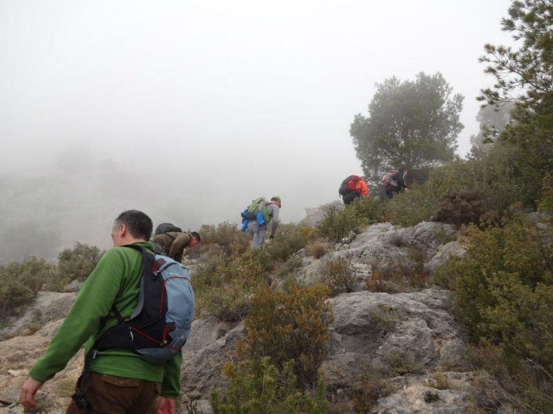 puig campana (52).jpg