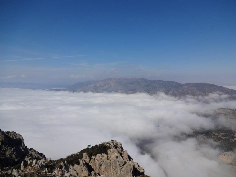 puig campana (53).jpg