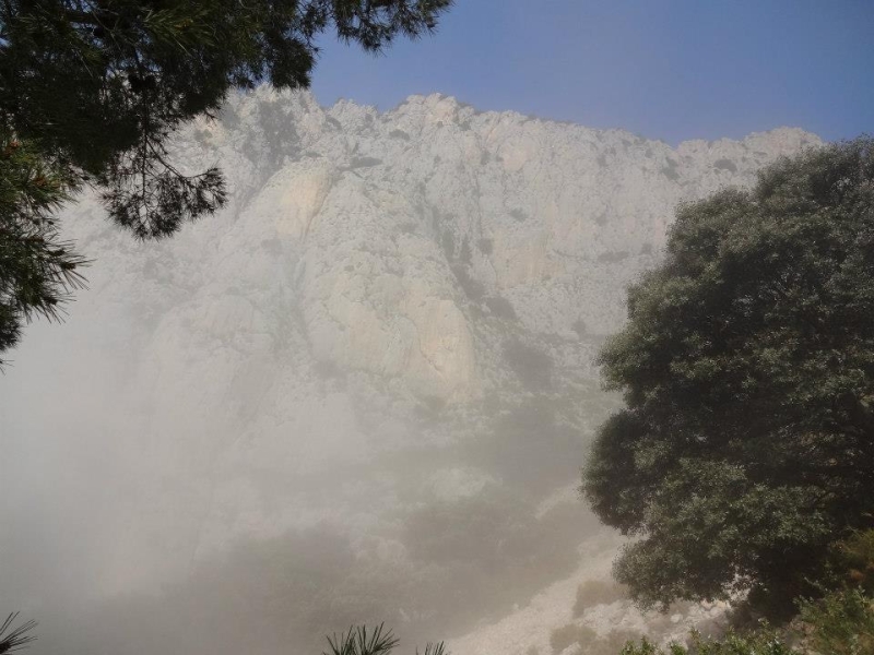 puig campana (54).jpg
