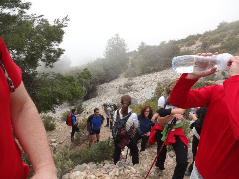 puig campana (55).jpg