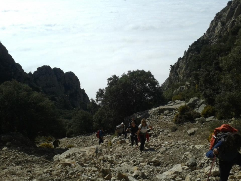 puig campana (57).jpg