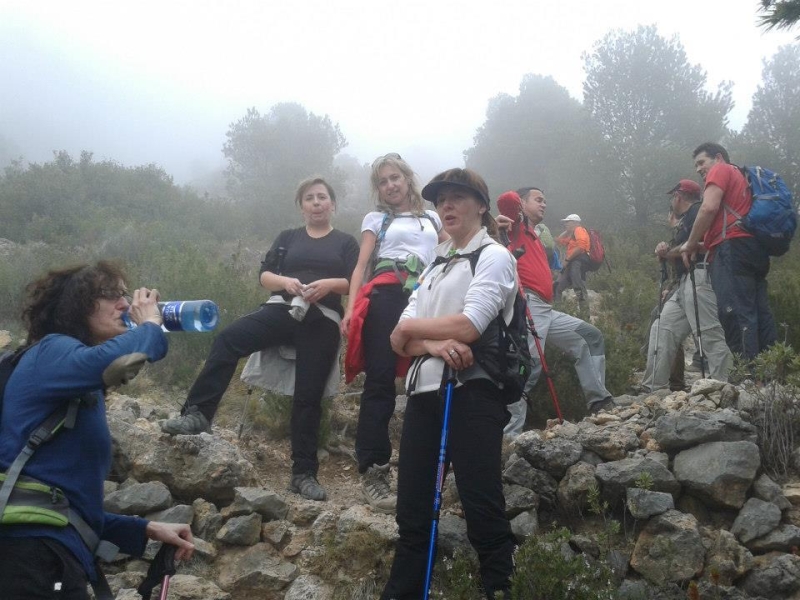 puig campana (58).jpg