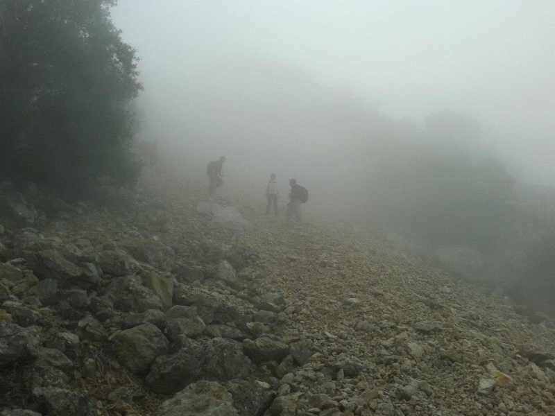 puig campana (6).jpg