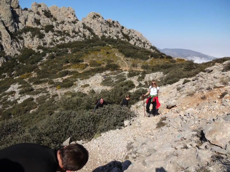 puig campana (60).jpg
