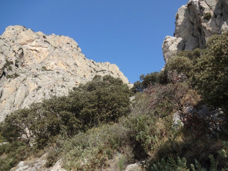 puig campana (61).jpg
