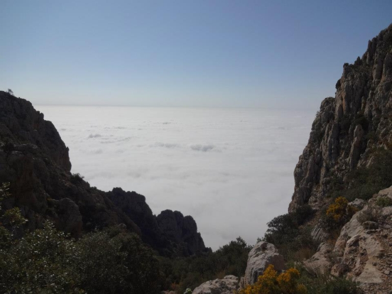 puig campana (63).jpg