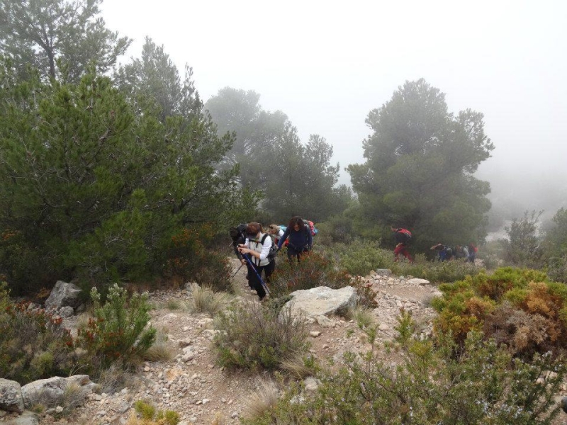 puig campana (64).jpg