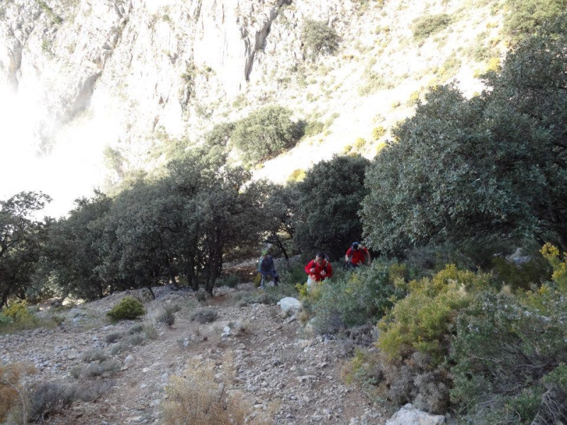 puig campana (66).jpg