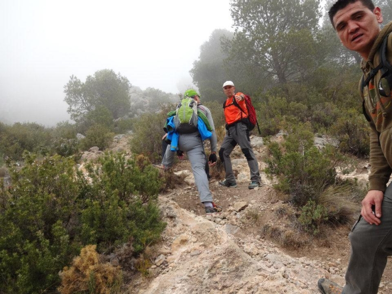 puig campana (7).jpg