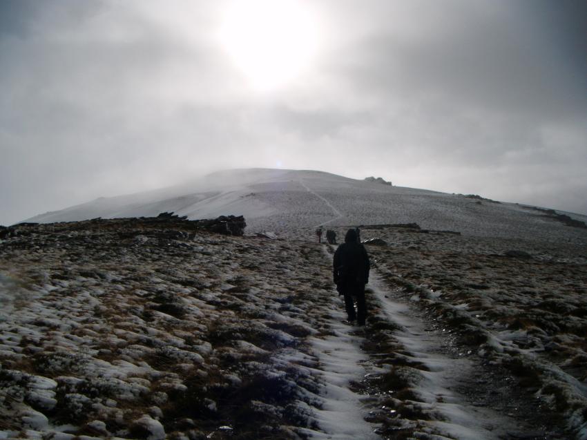 DSCF6056.jpg