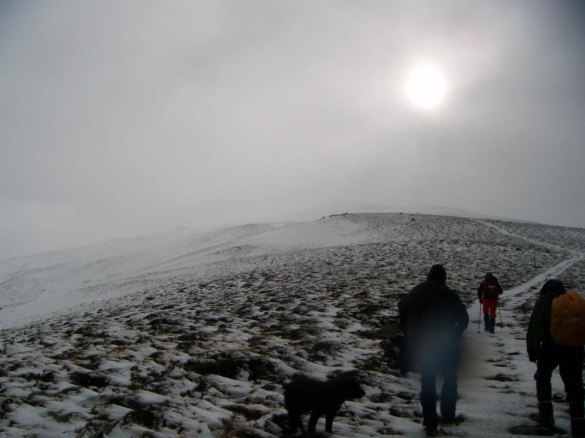 DSCF6072.jpg