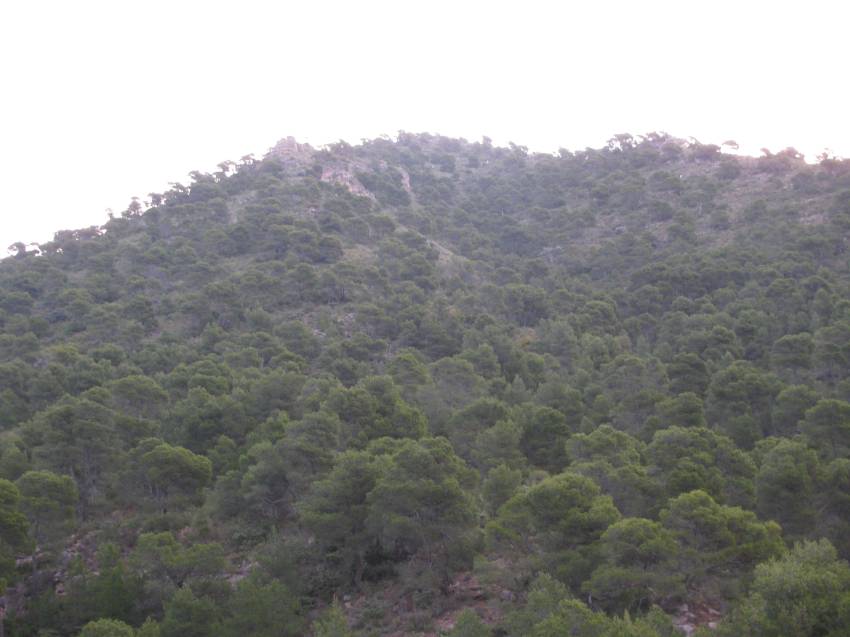 02_III Vuelta (22).jpg