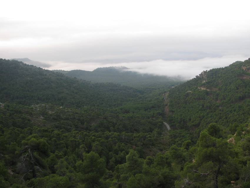 02_III Vuelta (23).jpg