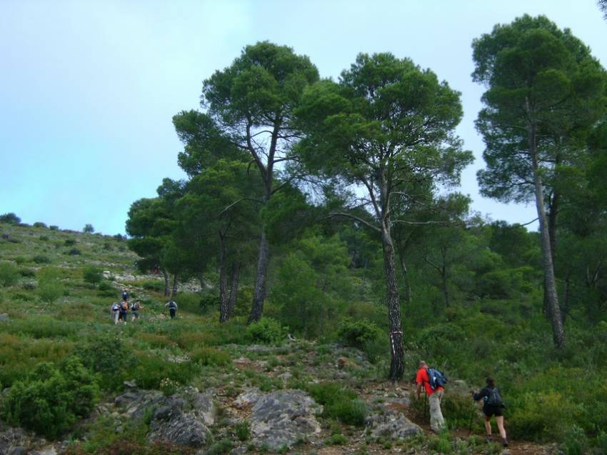 03_III Vuelta (2).jpg