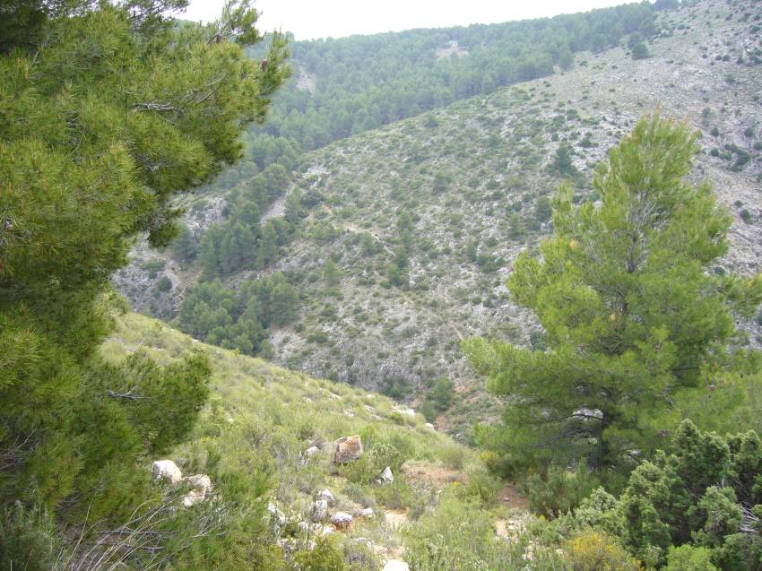 06_III Vuelta (3).jpg